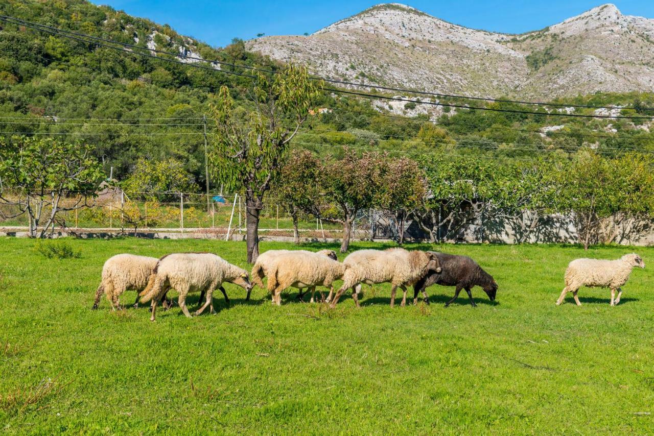 Luki Home Dubrovnik Exteriör bild